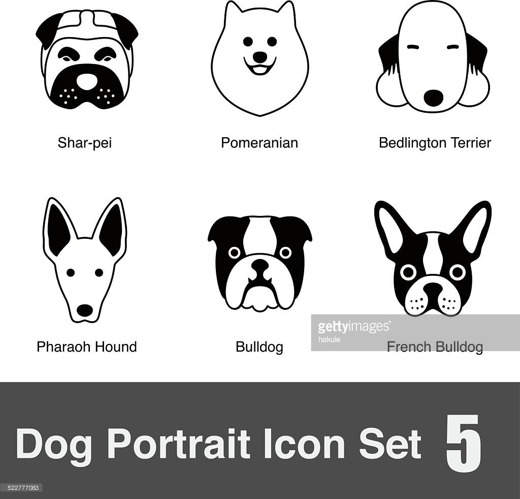 dogs clipart icon