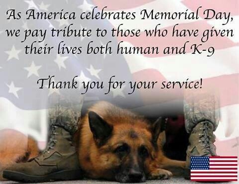 Dog pictures images . Dogs clipart memorial day