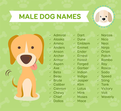 dogs clipart name