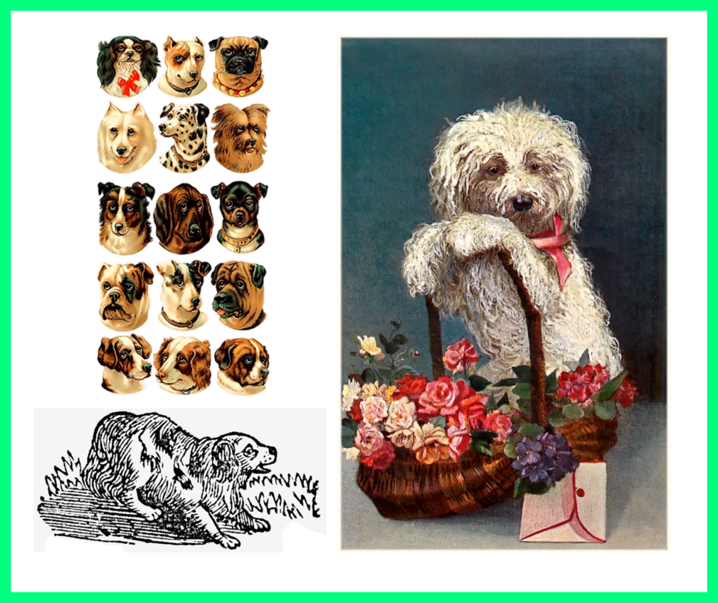 Fascinating american staffordshire terrier. Pitbull clipart happy