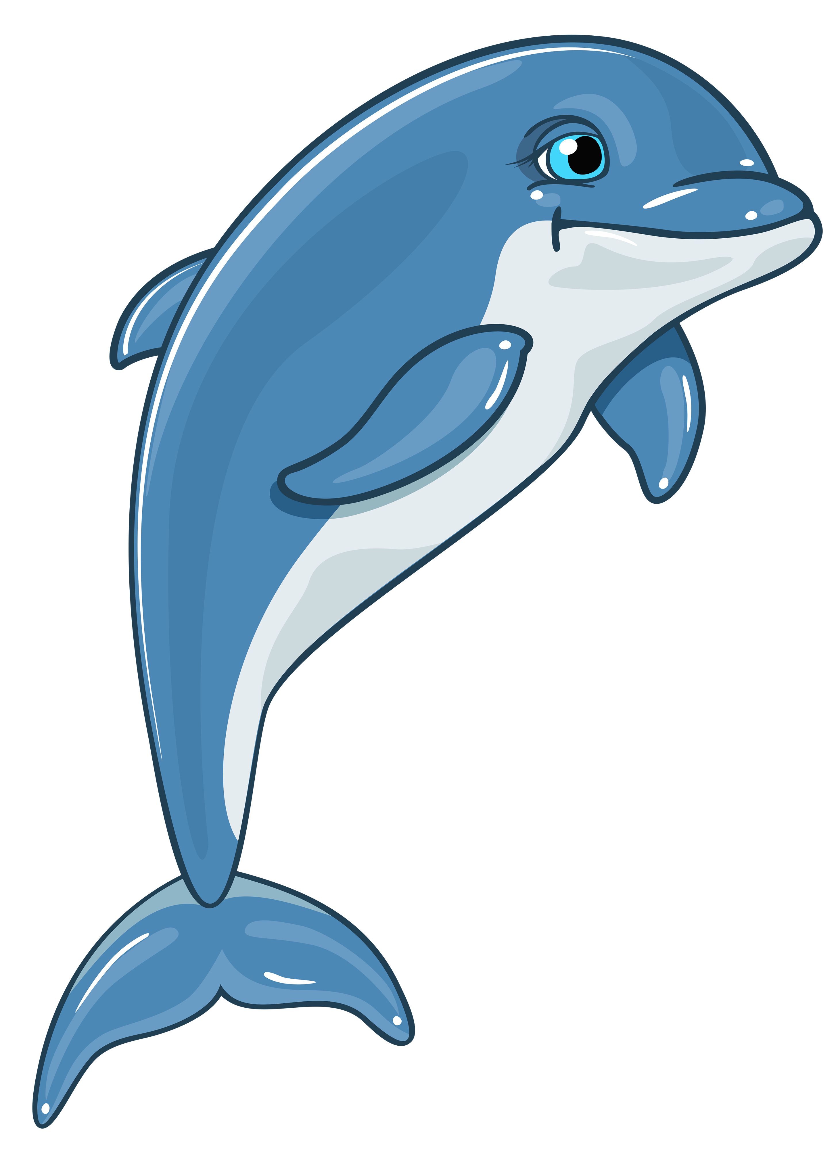 clipart water dolphin