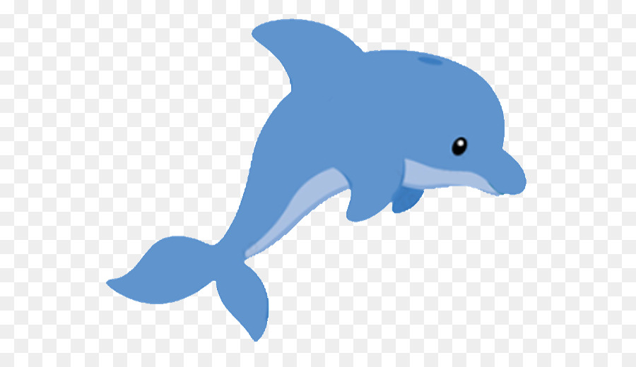 dolphin clipart