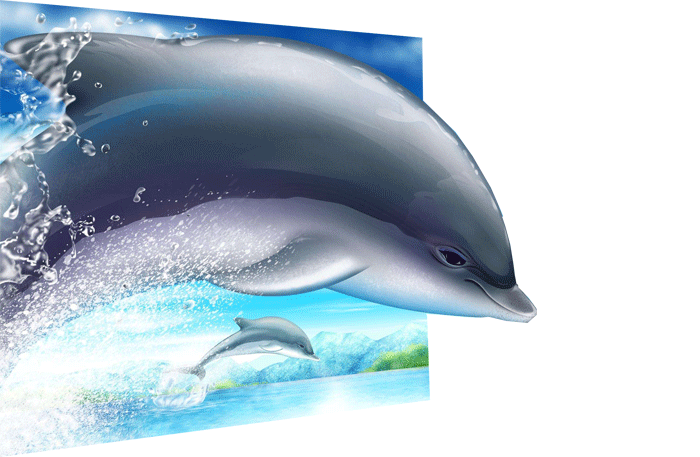 Delfin gif sea life. Dolphin clipart animated dancing