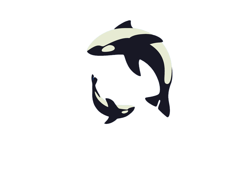Transparent whale tumblr . Orca clipart animation