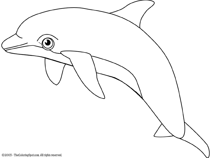 dolphin clipart black and white