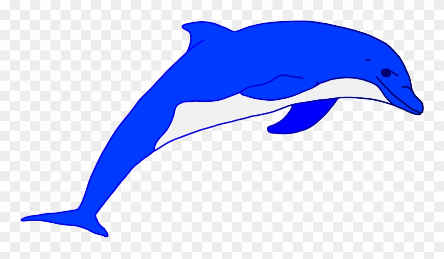 dolphin clipart blue dolphin
