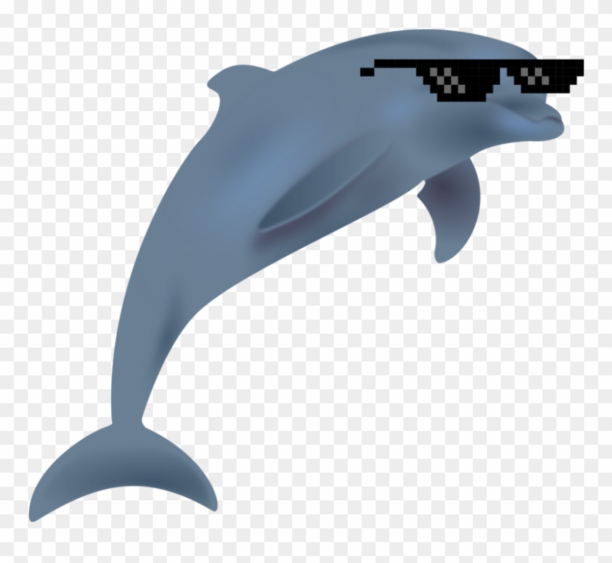 laser dolphin clip art