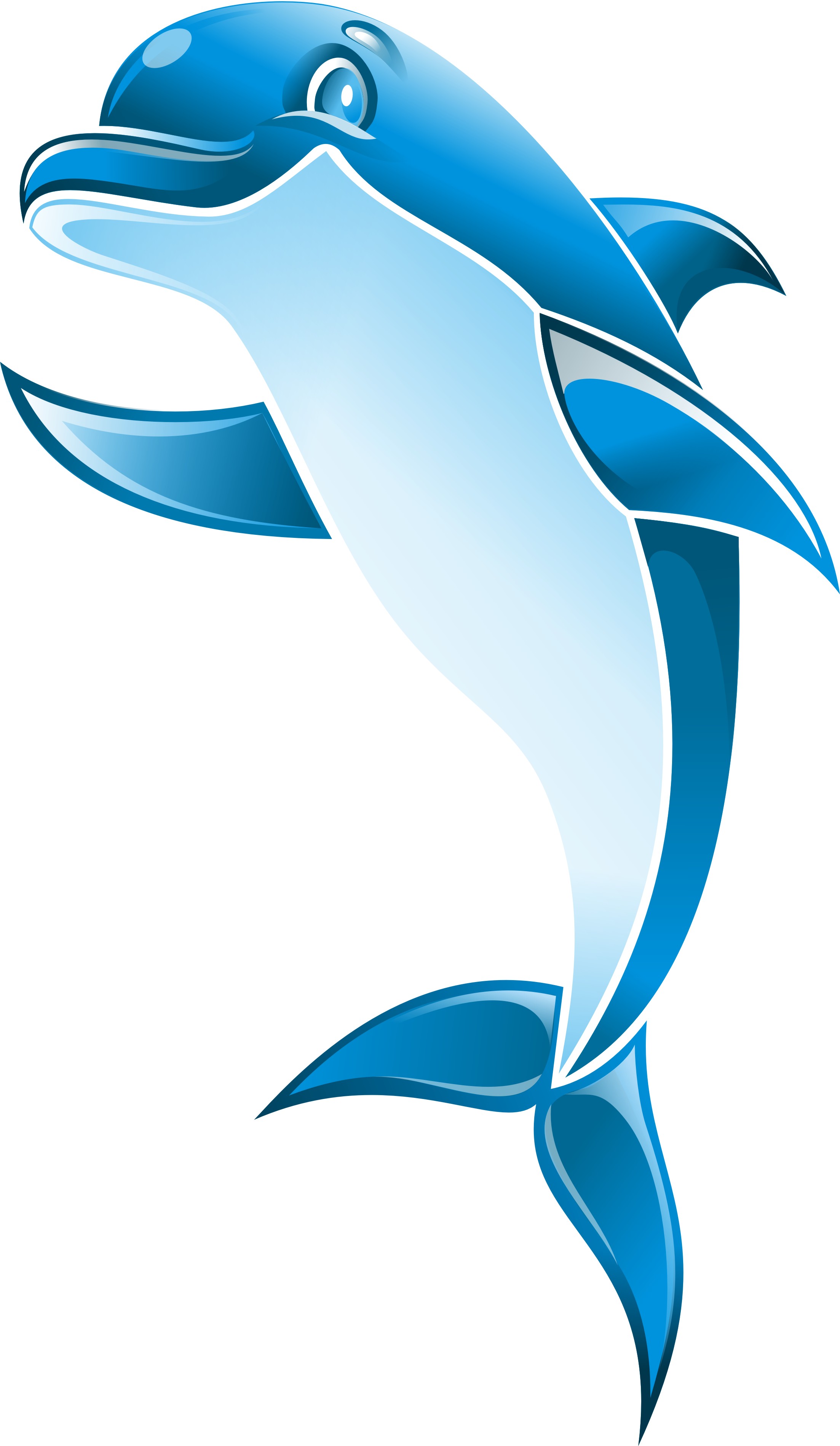 dolphins clipart dolphin mascot