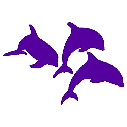 dolphin clipart dolphin pod