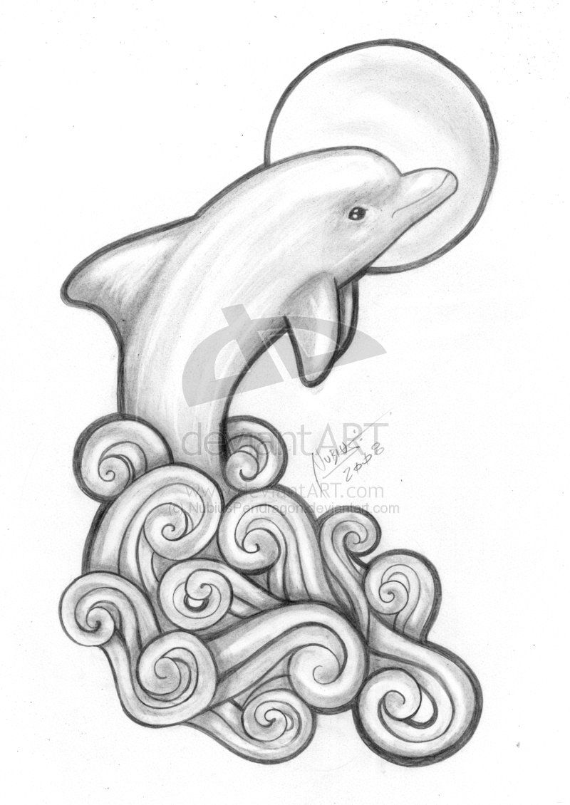 dolphin clipart drawing