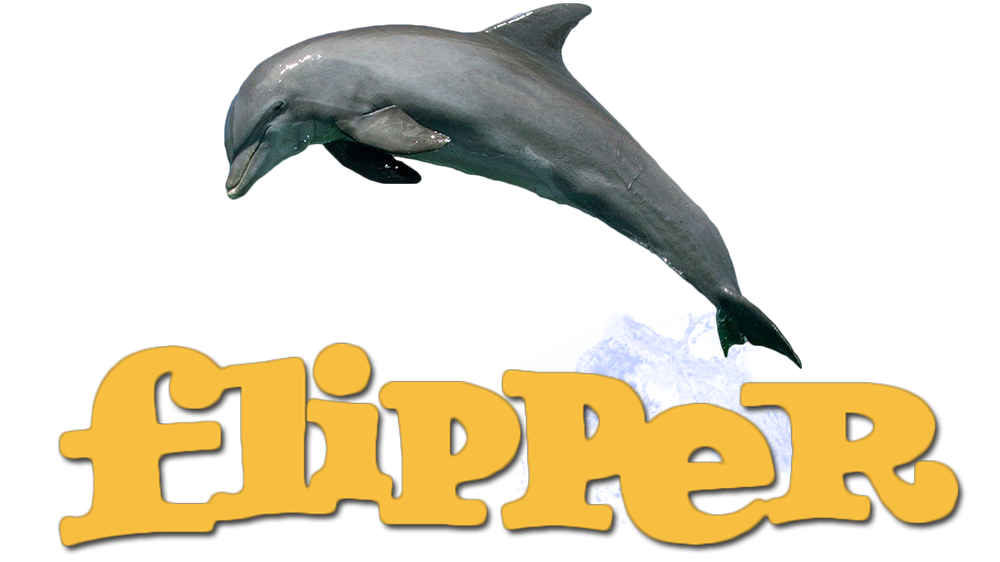 dolphin clipart flipper