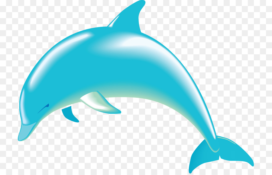 dolphins clipart dolphin fish