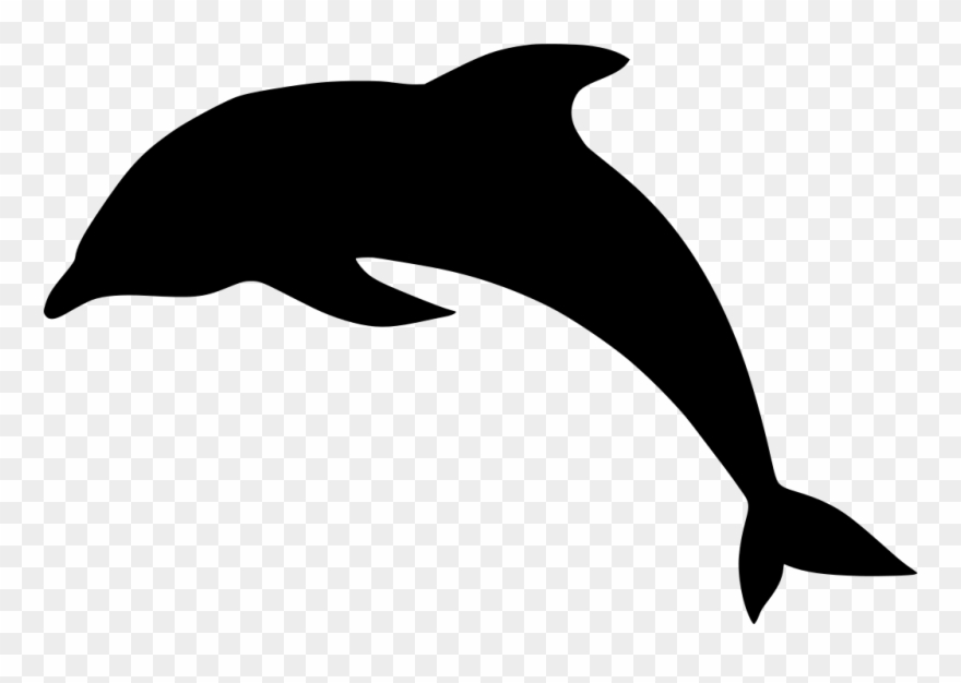 dolphins clipart jumping