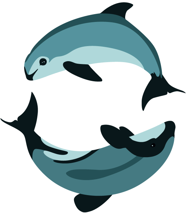 dolphin clipart maui dolphin