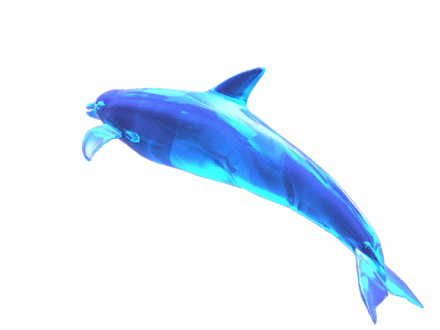 dolphin clipart pencil