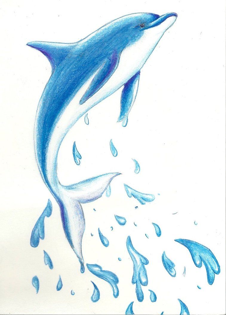 dolphin clipart pencil