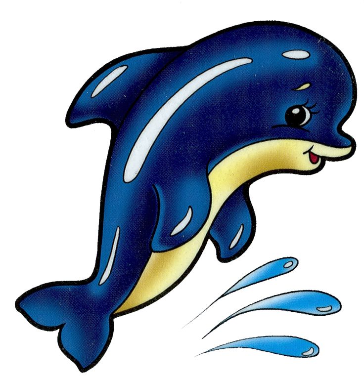 Dolphin clipart scene. Dolphins x free clip