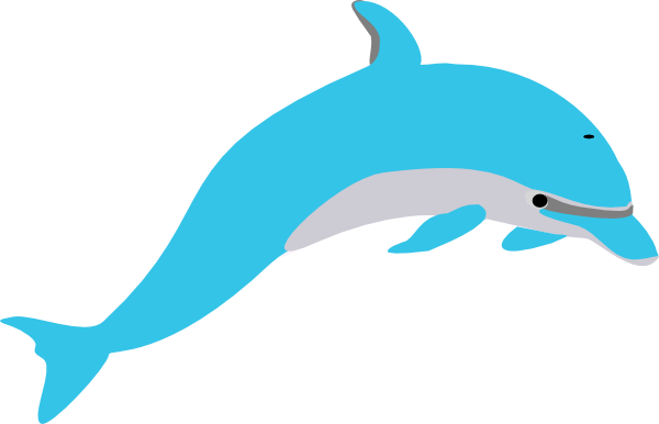dolphin clipart teal