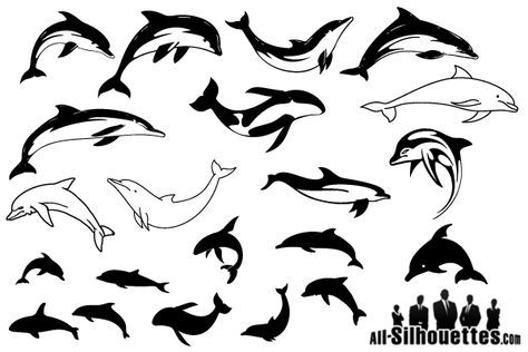dolphins clipart vector