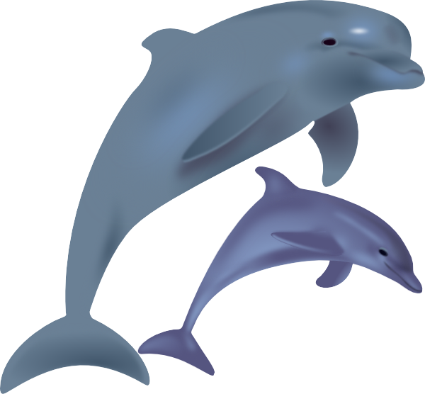Waves clipart dolphin. Two dolphins 
