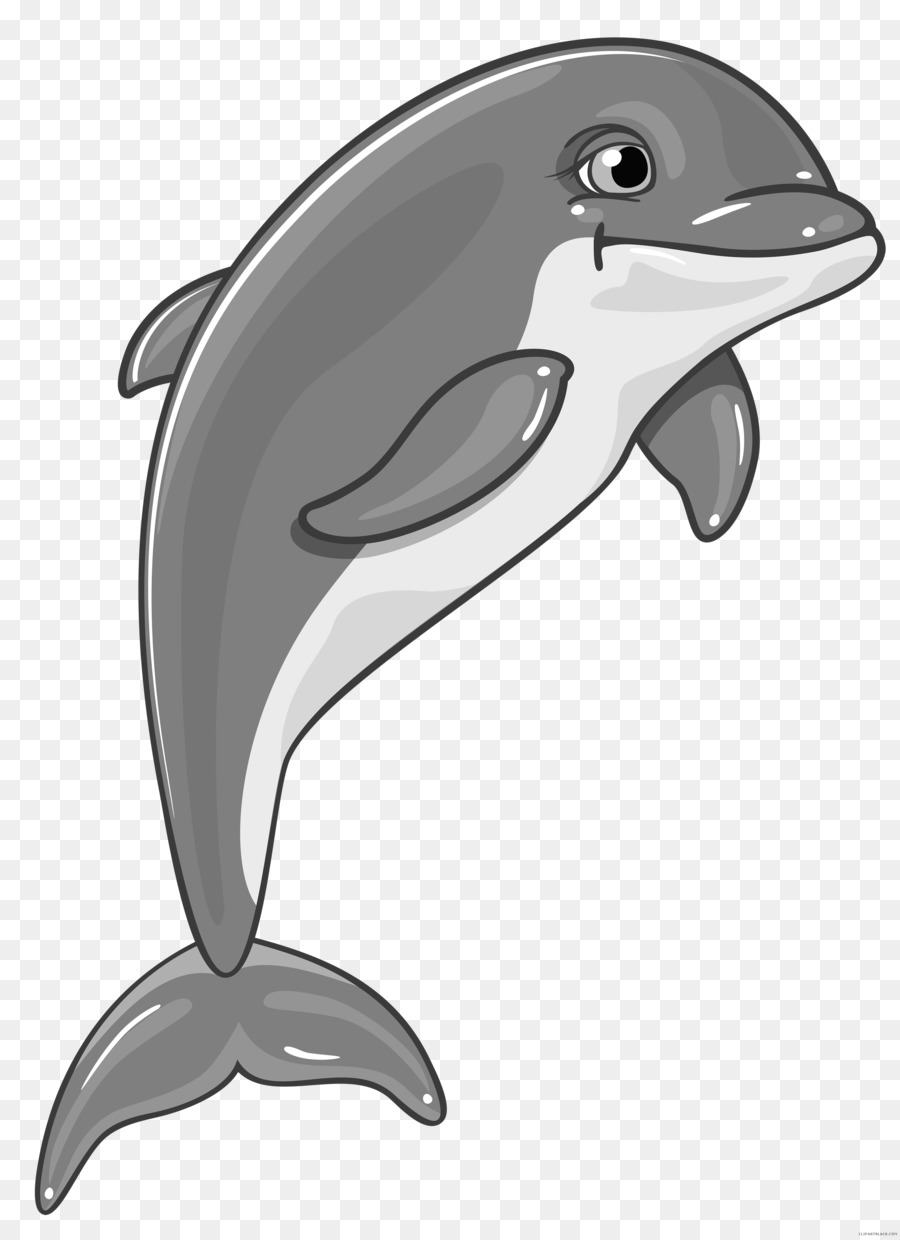 dolphins clipart animasi