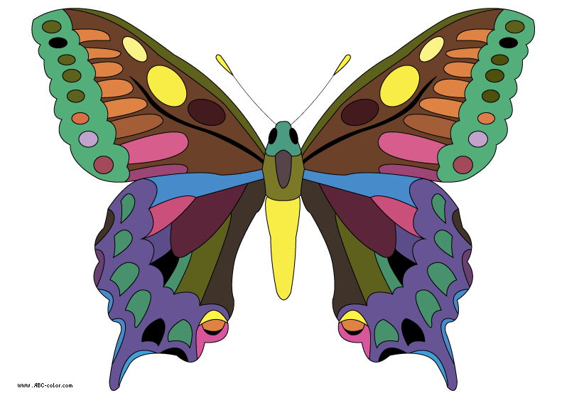 mask clipart butterfly