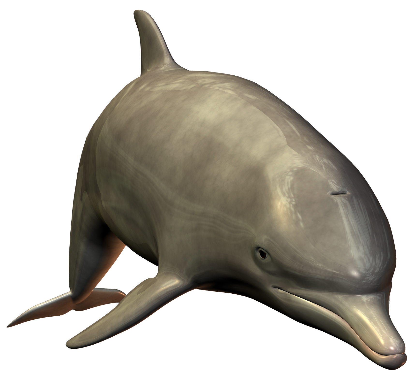 Dolphins clipart bottlenose dolphin. Maui frames illustrations hd