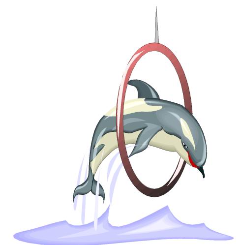 dolphins clipart circus