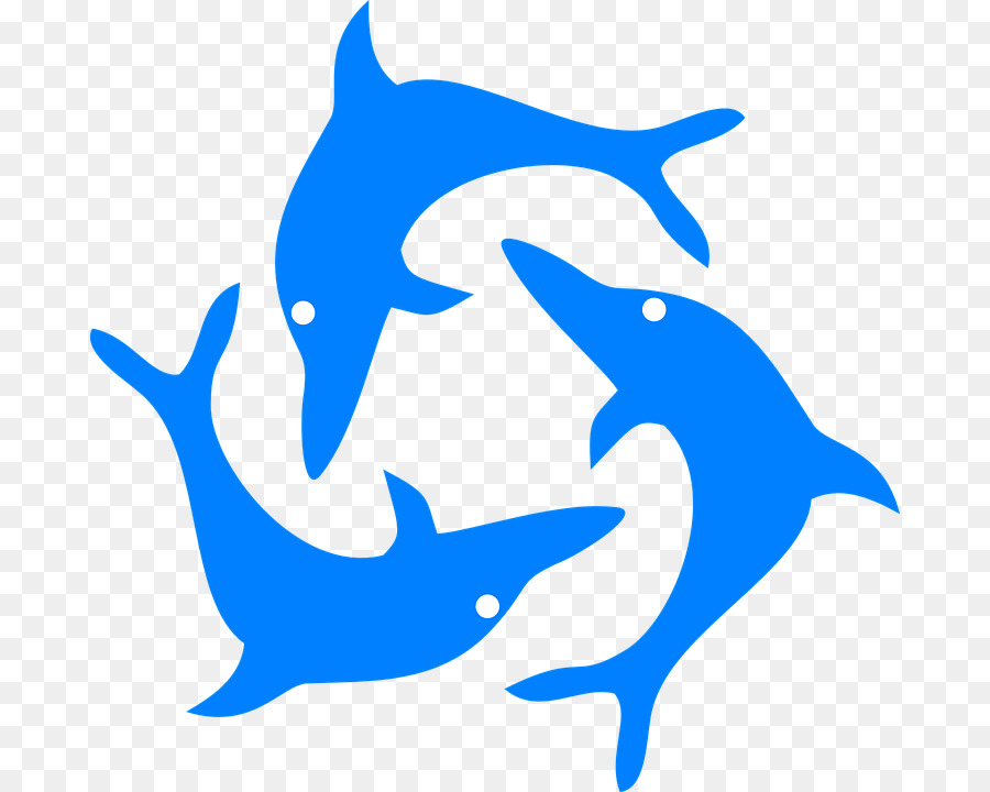 dolphins clipart dolphin fish