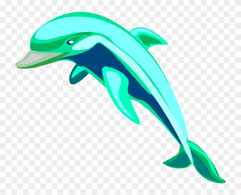 dolphins clipart dolphin miami