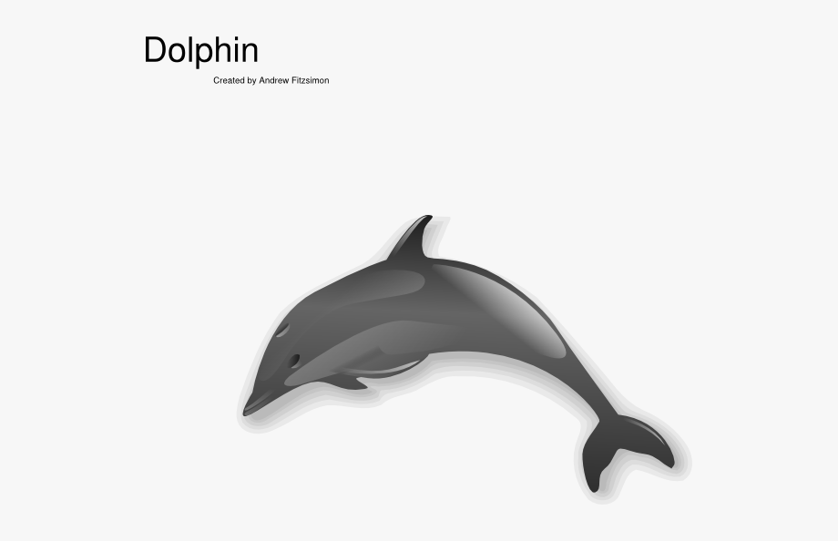 Dolphins clipart dolphin splash. Jumping cliparts gif png