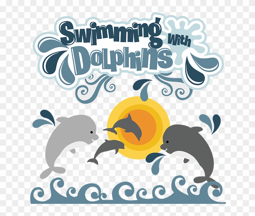 dolphins clipart dolphin swimming