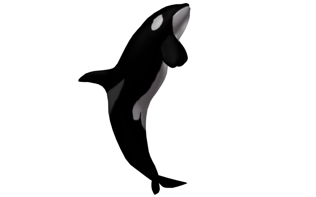 orca clipart full body