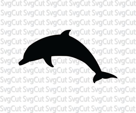 dolphins clipart file