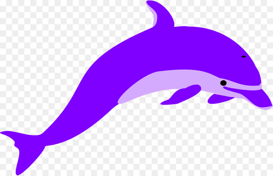 dolphins clipart purple
