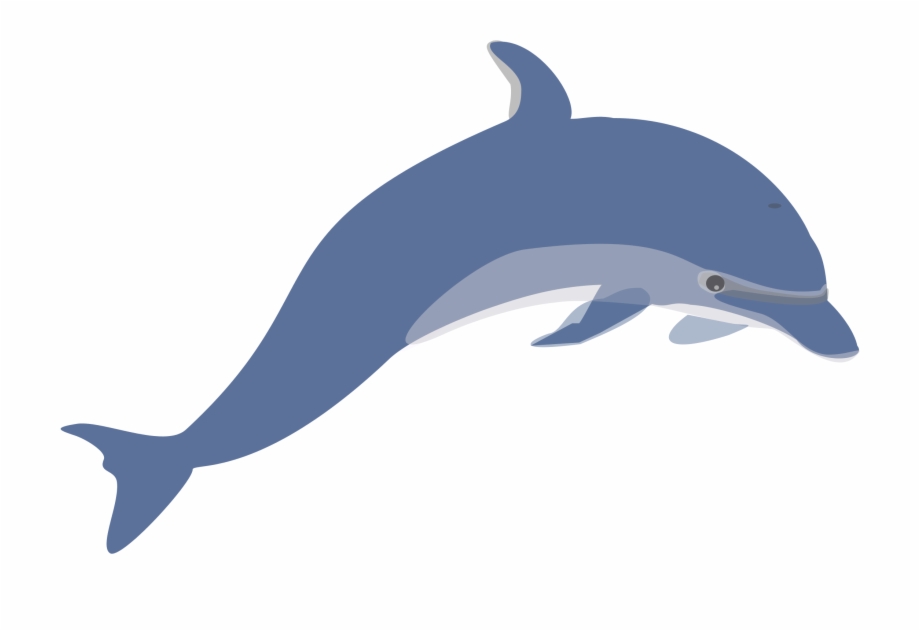 dolphins clipart sad