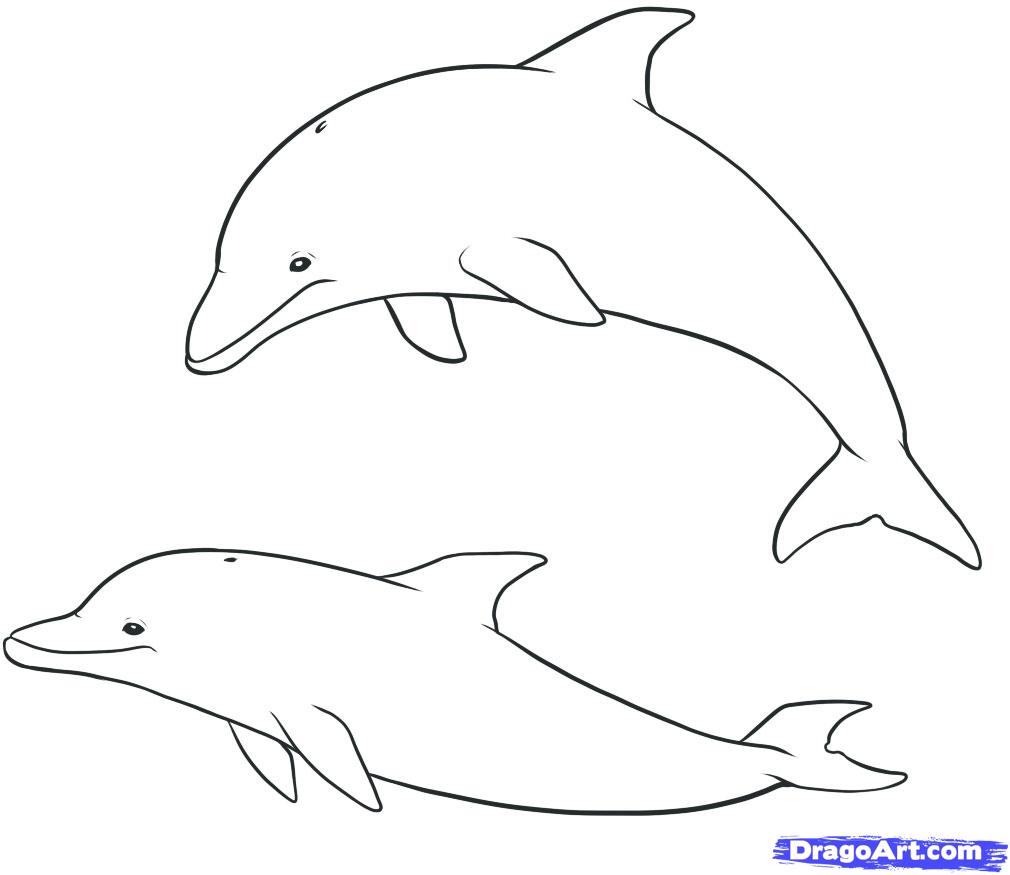 dolphins clipart sea drawing