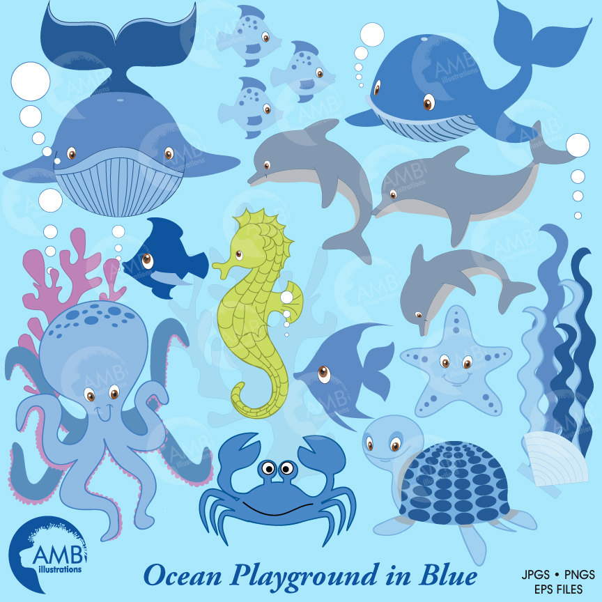 dolphins clipart seahorse