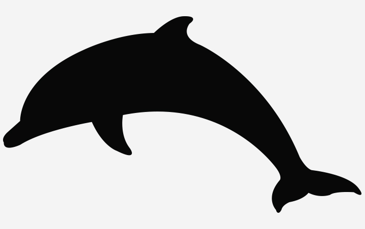 dolphins clipart shadow