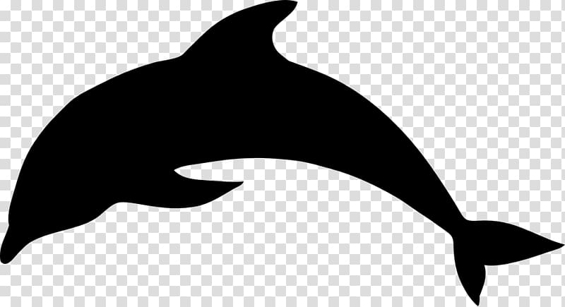 dolphins clipart silhouette