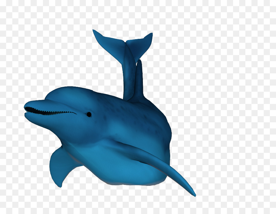 Cartoon dolphin transparent clip. Dolphins clipart winter