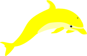 dolphins clipart yellow