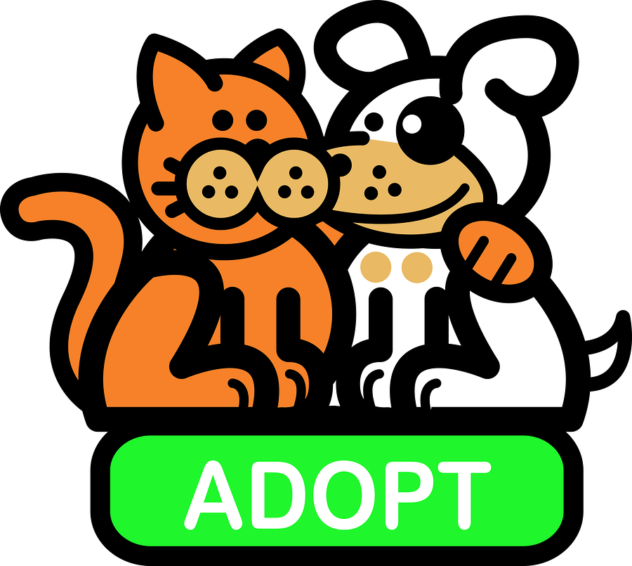 donation clipart pet shelter