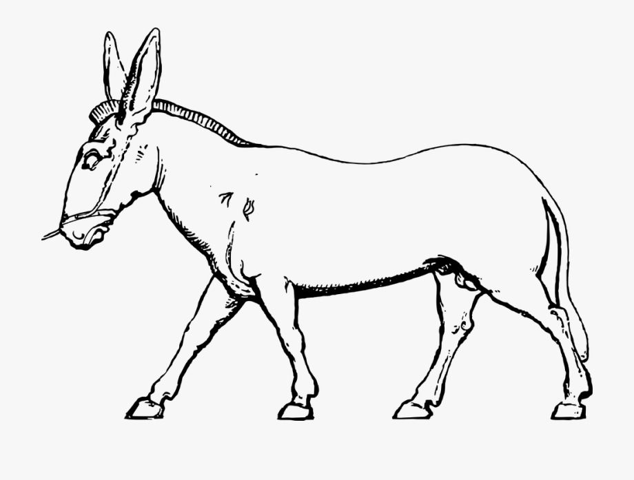 mule clipart black and white