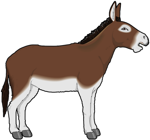 mule clipart brown