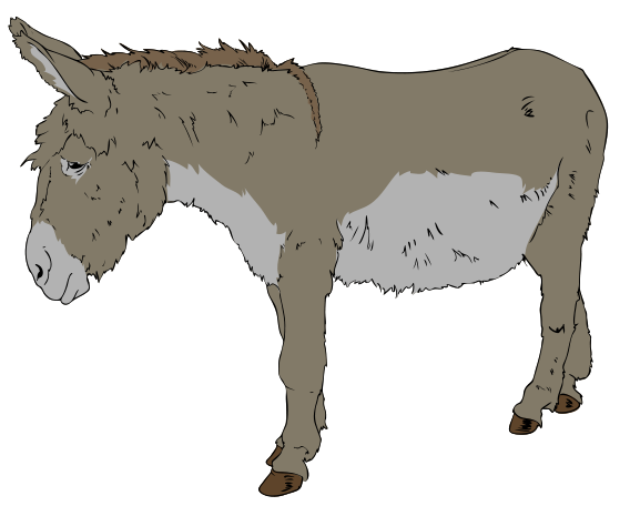 donkey clipart burro