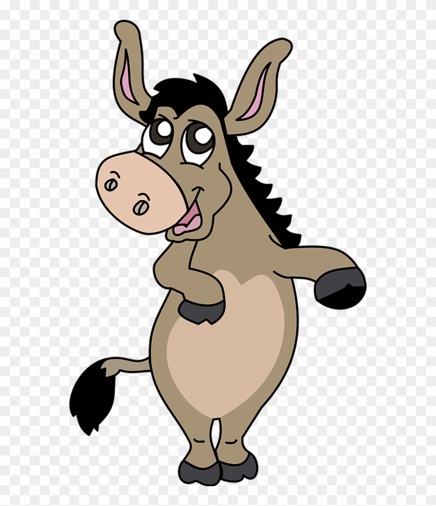 donkey clipart burro