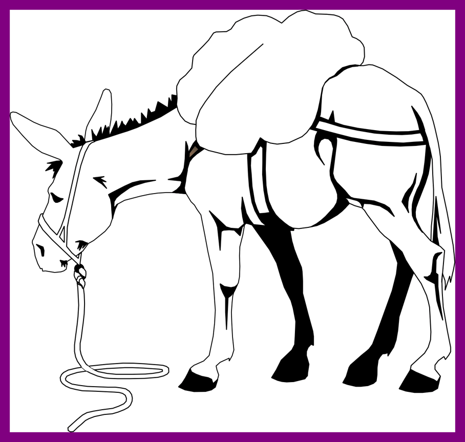 donkey clipart coloring