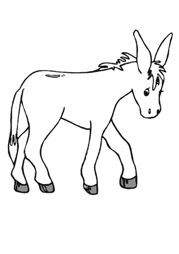 donkey clipart colour