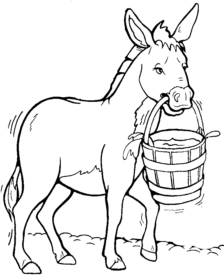 donkey clipart donkey drawing